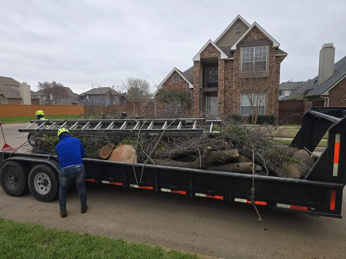 Expert Crown Reduction with proper safety equipment in Cleo Springs
